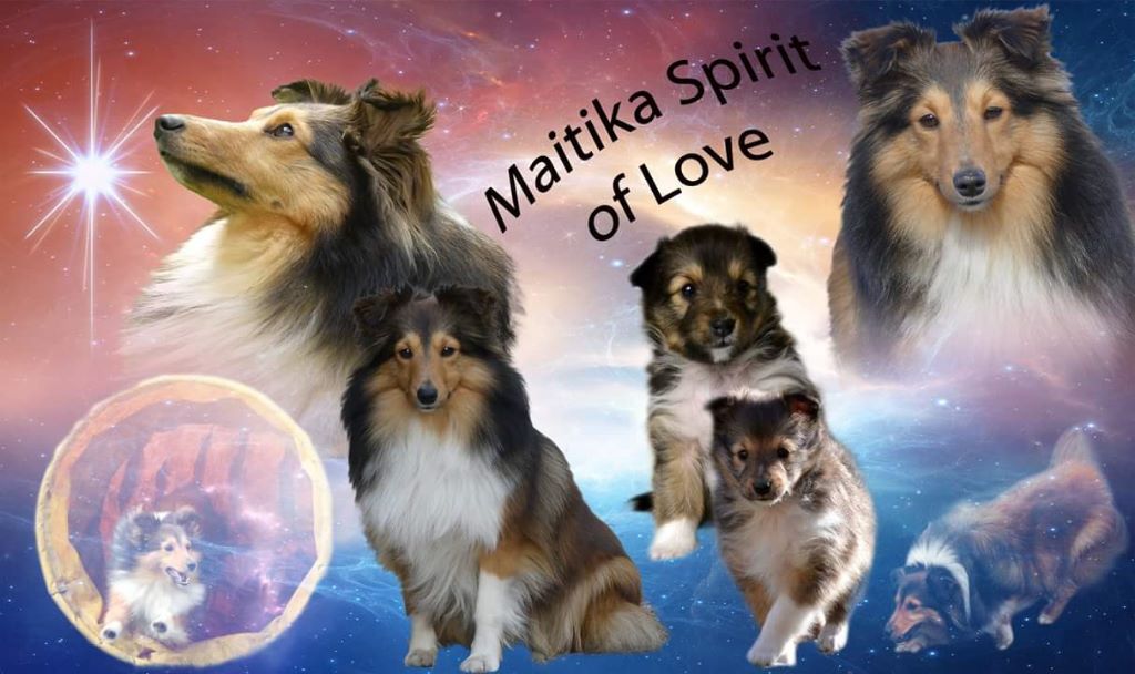 Maitika spirit of love du Domaine du Carpé