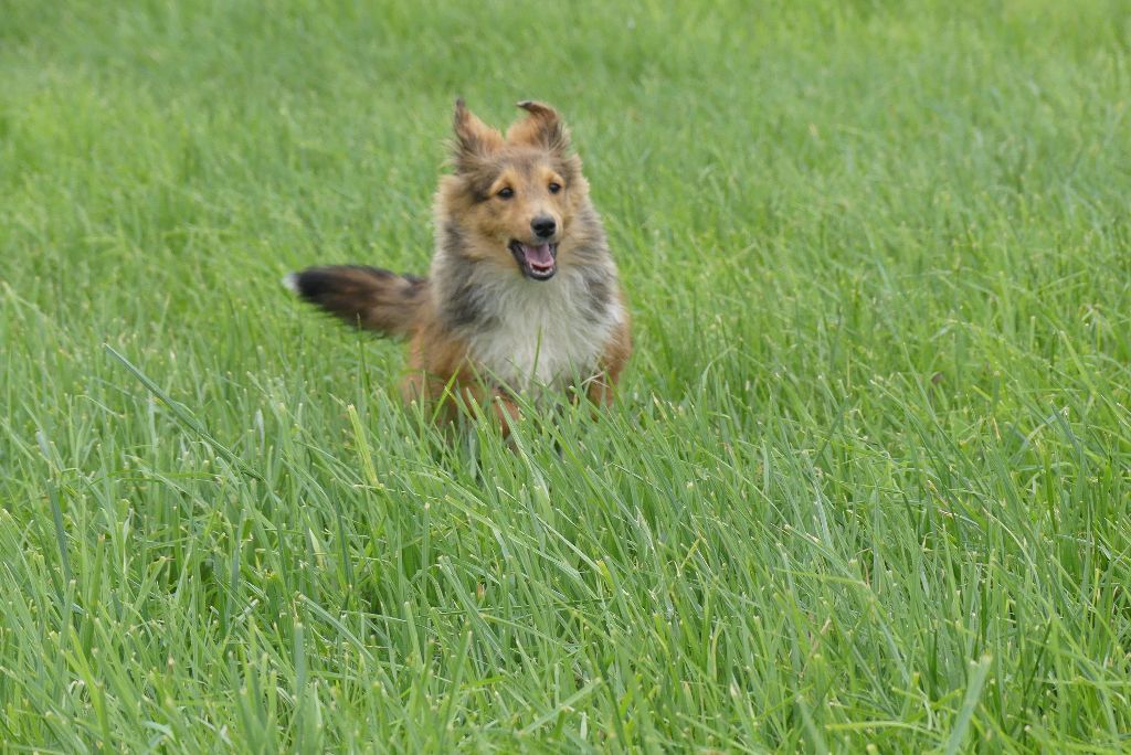 Maitika spirit of love du Domaine du Carpé